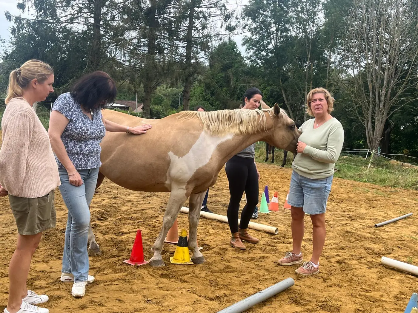 Un petit groupe réuni autour d'un cheval pie dans la carrière