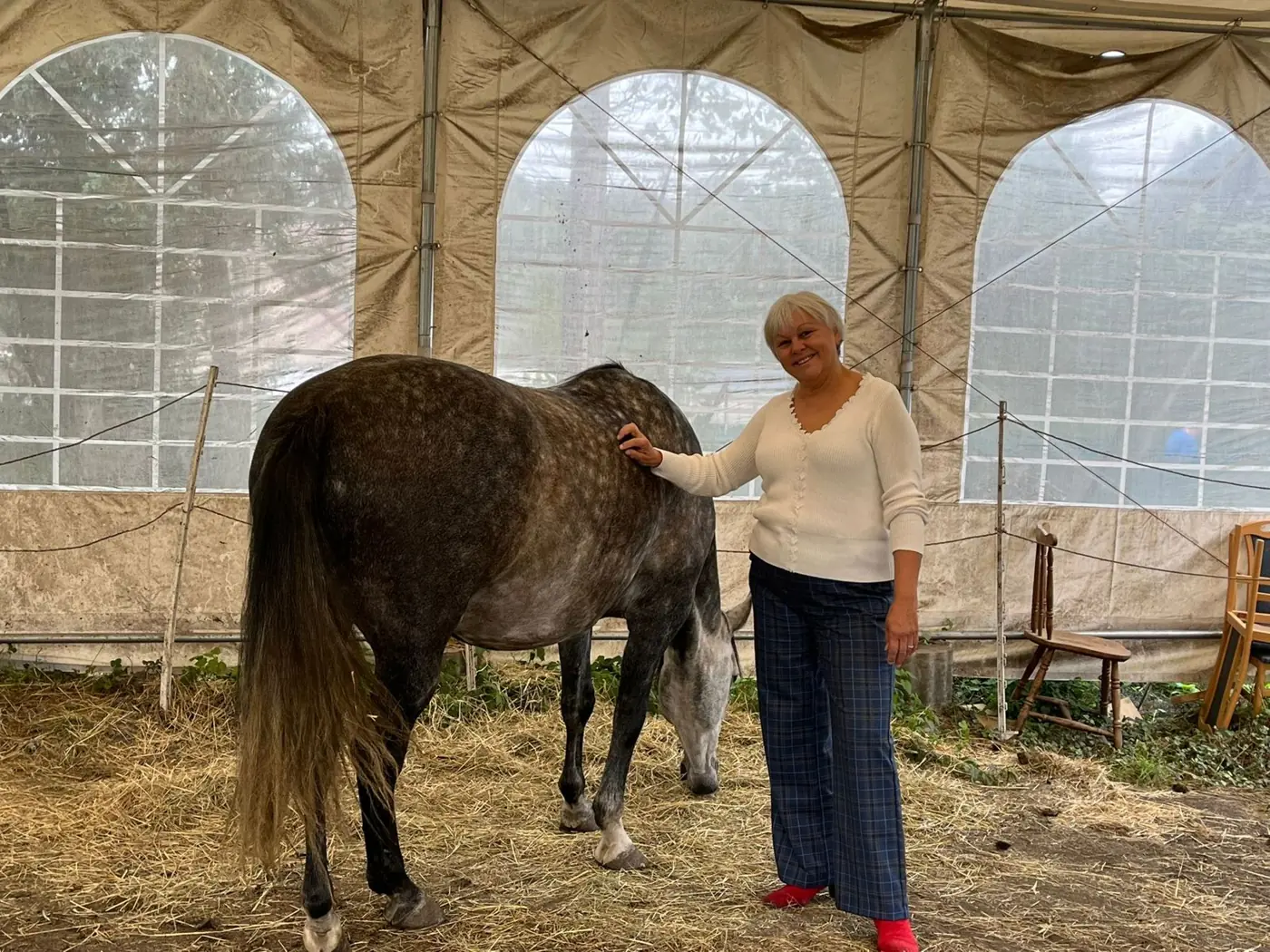Une femme souriante à côté d'un cheval bai, au centre